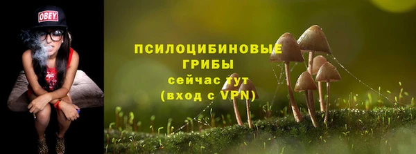 стафф Абаза