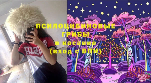 стафф Абаза