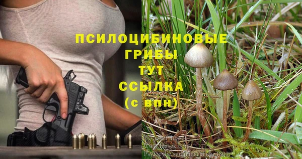 стафф Абаза